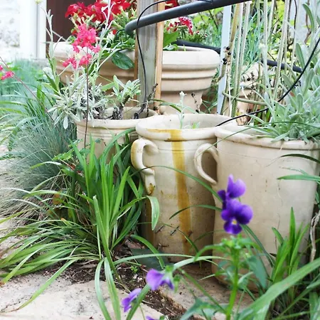 Oda ve Kahvaltı Mini Cascata