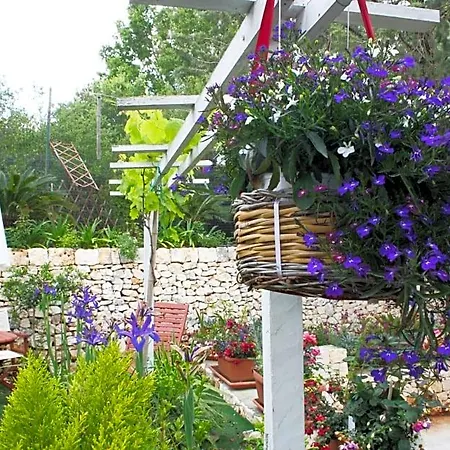 Mini Cascata Bed & Breakfast