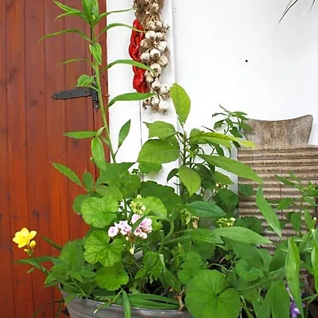Bed & Breakfast Mini Cascata 3*