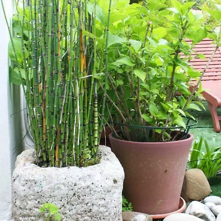 Mini Cascata Bed and Breakfast