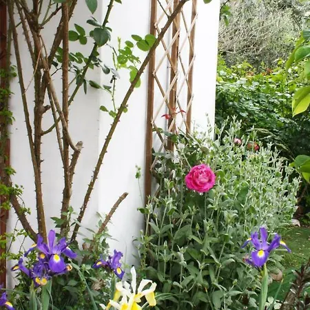 Mini Cascata Bed and Breakfast 3*