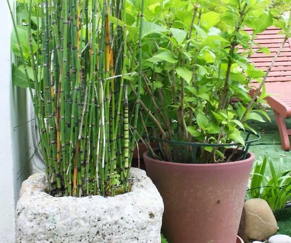 Mini Cascata לינה וארוחת בוקר