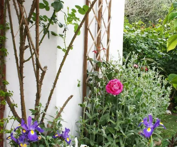 Mini Cascata לינה וארוחת בוקר 3*