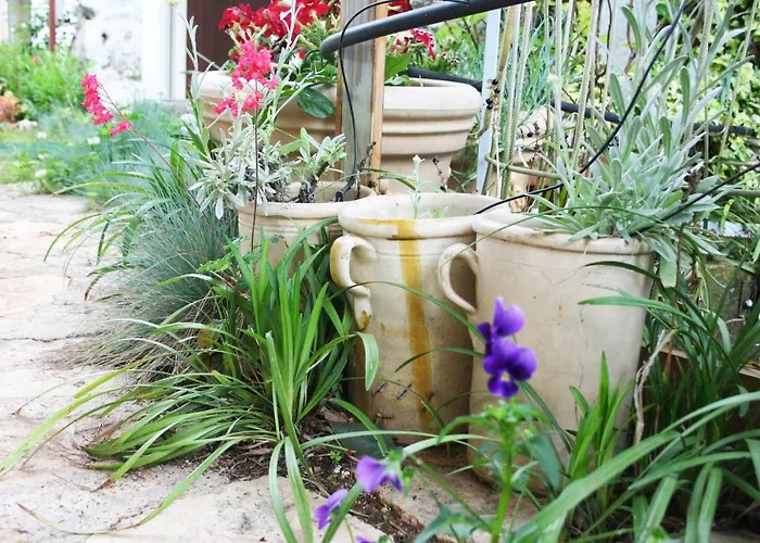 לינה וארוחת בוקר Mini Cascata